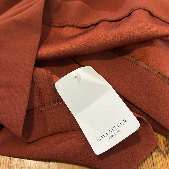 NWT MM LaFleur The Masha 3.0 sheath pocket midi Dress in Redwood Size 2 - Picture 5 of 6